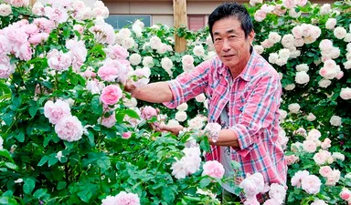 ローズマイスター高田 馨のガイドツアー（今年６１年目を迎えるローズガーデンの歴史を誰よりも知るローズマイスターならではのガイドは必見！）