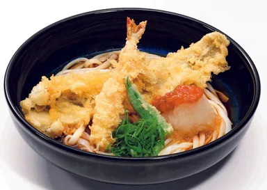 初夏の天おろしうどん