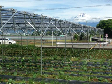 スマートライフ発電所