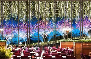 夜のガーデンイルミネーション