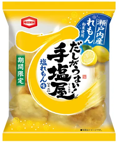 55g 手塩屋ミニ 塩れもん味