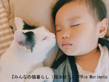 ひとりといっぴきの 幸せな日々。（杜本理絵）_2