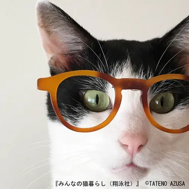 ハロー。 はんなりボーイとお転婆ガール。(TATENO AZUSA)_1