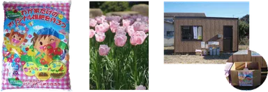 土帰行(つちきこう)