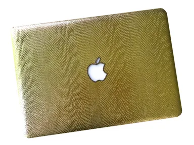 パイソンゴールド2