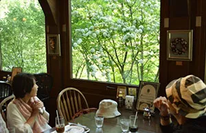 シュトラウス・カフェから「オオデマリ」を眺める