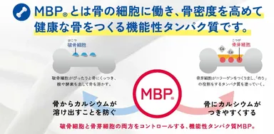 MBP効果１