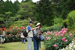 ローズウオーク写真教室　開催時の様子