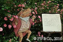 ピーターラビット(TM)とバラの世界（イメージ）