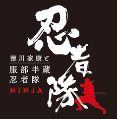 海外のNINJAファンへ！プロモーションムービー公開　
“これがフルタイムで働く日本のNINJAだ！”
　「NINJA空港プロジェクト」も始動！
