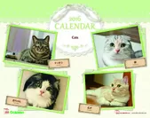 2016年Catsカレンダー表紙