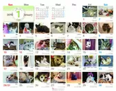 2016年Catsカレンダー中面1月