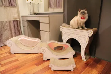 爪とぎソファーベッド