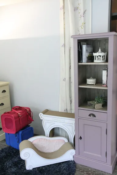 愛猫との暮らしをもっとセンスよく