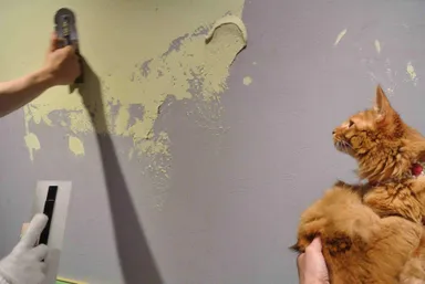 ペット向け建材(消臭塗料等)