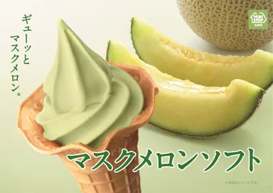 マスクメロンソフト　イメージ