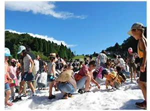 「真夏の雪まつり」　開催時の様子