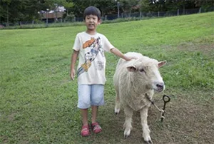 ふれあい動物ランド