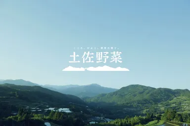 『土佐野菜』メインイメージ