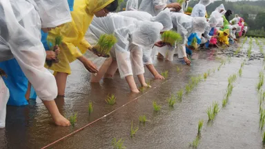 プレミアムウォーター　熊本復興イベント 2