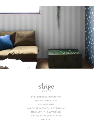 stripe