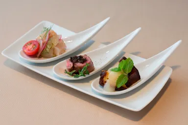 ディスカバリーボルドーセット2