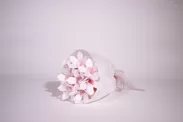『Hana-kotoba Bouquet 花束セット』