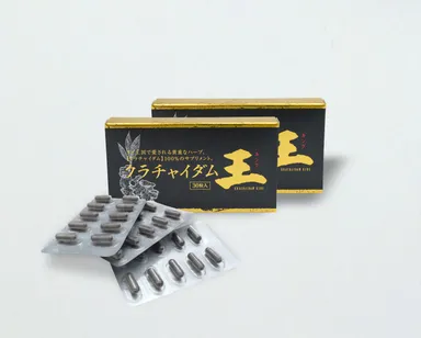 クラチャイダム王(キング)