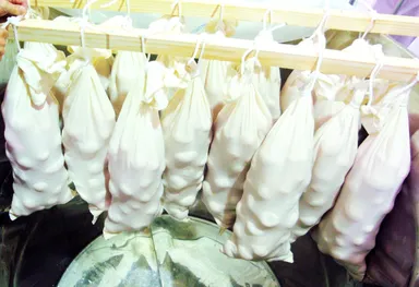 製造風景「伝統製法　雫取り」