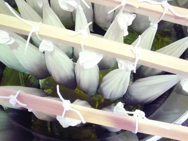 吊るされたトマト(上から見た様子)