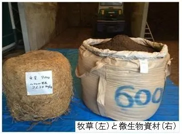 牧草と微生物資材