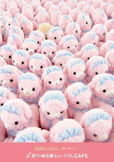 ポスター例1　新生姜アルパカちゃん