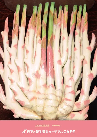 ポスター例3　土の中の新生姜