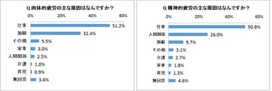 図表4：肉体的疲労と精神的疲労の原因