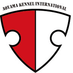 青山ケンネル池尻大橋本店に、チャンピオン系血統の仔犬が勢ぞろい