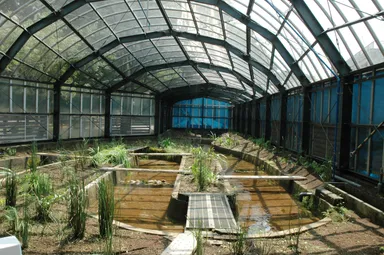 ほたる養殖ドーム