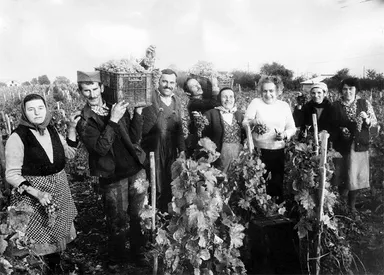 王室ワインの歴史