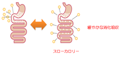 スローカロリーとは