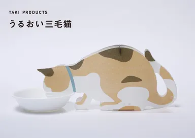 うるおい三毛猫