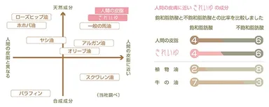 「きれいゆ」マップ図