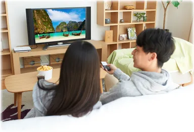 HDMIでテレビにつなげば大画面で楽しめる