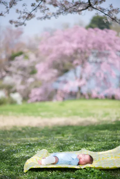 過去の優秀作品(6)