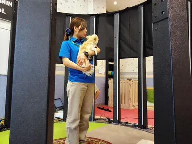 ペットを抱っこして