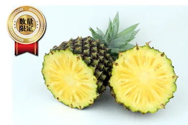 ゴールドバレルパイン