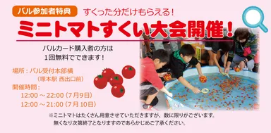 ミニトマトすくい大会