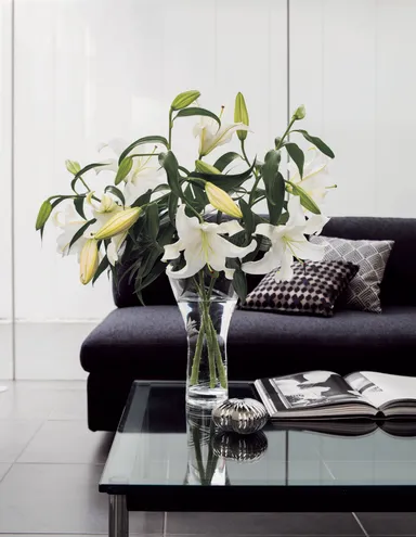 リニューアルする「マイセレクト」商品イメージ7