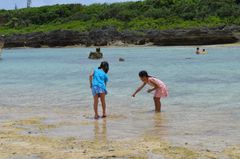 干潮時のビーチで海の生き物を楽しく観察