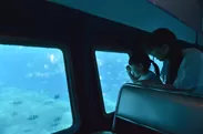 小さなお子様も楽しめる半潜水型の水中観光船「シースカイ」