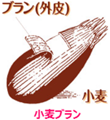 小麦ブラン