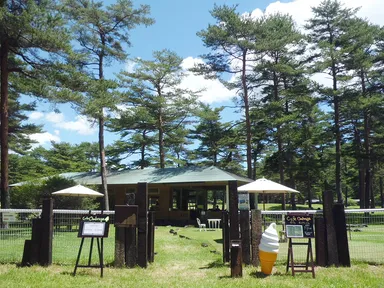 カフェ専用入口